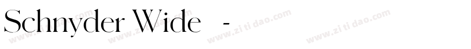 Schnyder Wide 字体字体转换